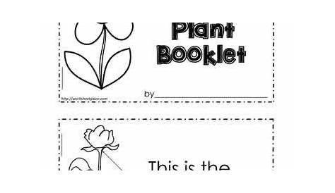 parts of a plant worksheets kindergarten