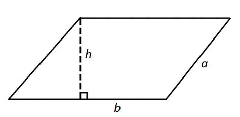 For this parallelogram, the area = b x h