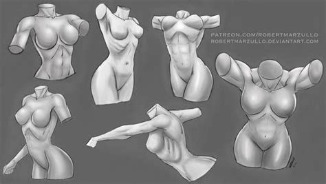 Male Anatomy Template Front By Shintenzu On Deviantart Artofit
