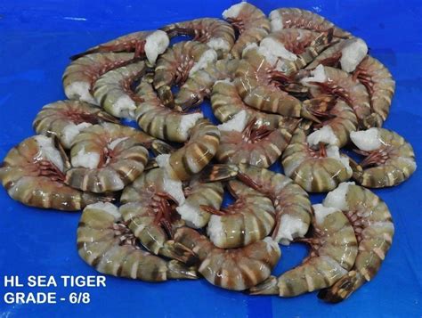 Headless Sea Tiger Shrimps Prawns At Best Price In Chennai By KVM