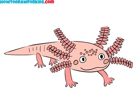 How To Draw A Realistic Axolotl
