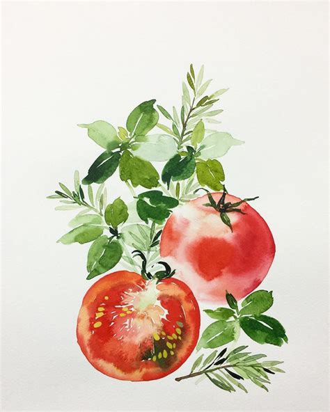 A usually herbaceous plant grown for an edible part that is usually eaten as part of a meal, according to merriam webster dictionary. Tomatoes | Vegetable painting, Watercolor herbs ...