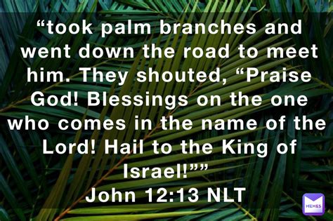 Took Palm Branches And Went Down The Road To Meet Him They Shouted