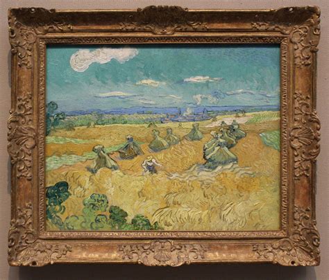 Vincent Van Gogh Wheat Field With Reaper Museum Art Gallery