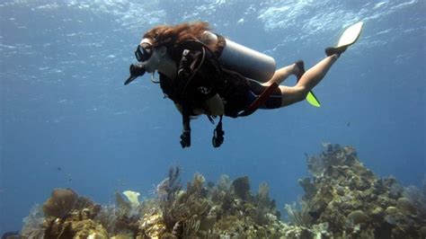 The Complete Guide To Dive Roatan Stingy Nomads