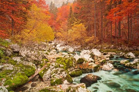 10 Of The Best National Parks In The World To See Autumn Colours