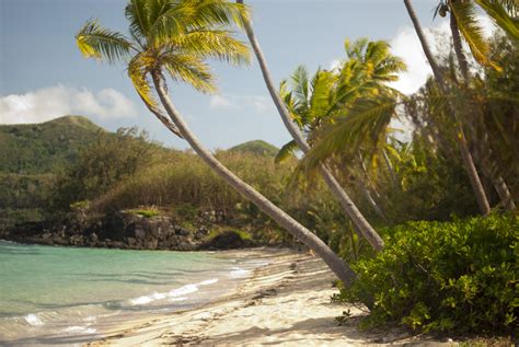 Tropical ocean paradise-6006 | Stockarch Free Stock Photos