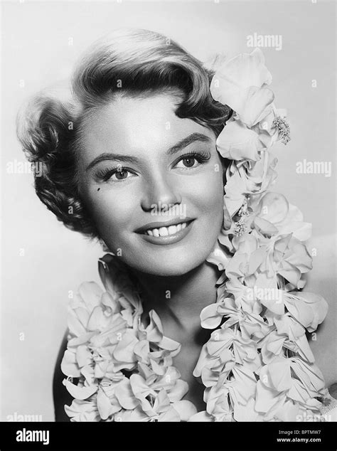 Sheree North Actress 1956 Stock Photo 31276035 Alamy