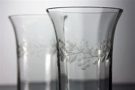Etched Glass Tumblers Paneled Optic Drinking Glasses Floral Pattern Set Of 2 10 Ounce Glasses