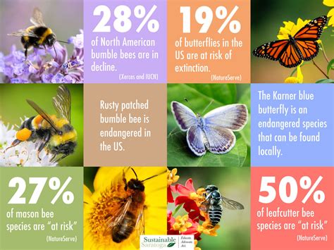 Threats To Pollinators Sustainable Saratoga