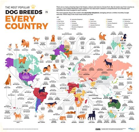 Este Mapa Muestra Cuáles Son Los Perros Más Populares En Cada País Del