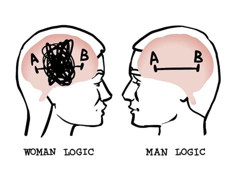 The Female Brain Why Damaging Myths About Women And Science Keep