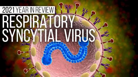 Year In Review Respiratory Syncytial Virus Medpage Today
