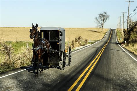 Exploring Amish Country: The Best Things to do in Lancaster