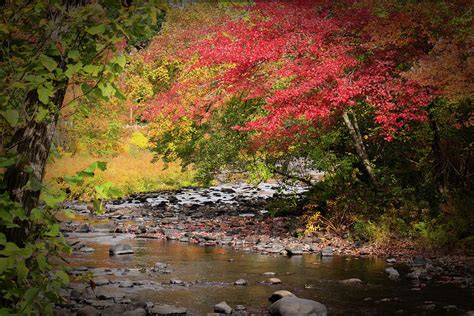 Fall Stream Photograph By John Thorp Fine Art America