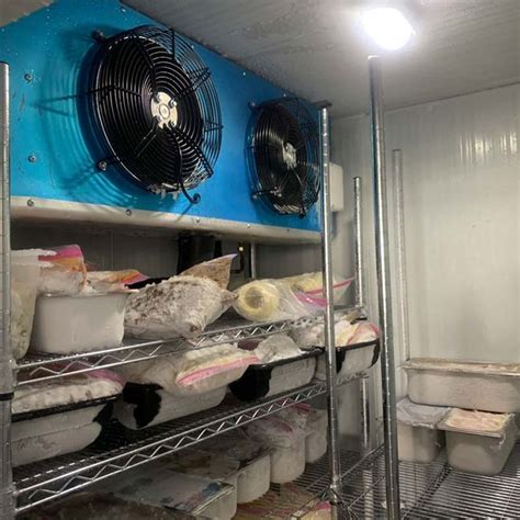 Meat Coldroom Some Cold Room For Meats Require The Temperature Of 30