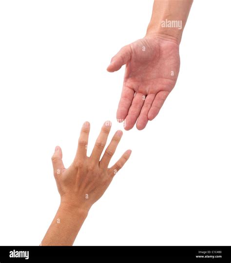 Helping Hands Isolated On The White Background Stock Photo Alamy
