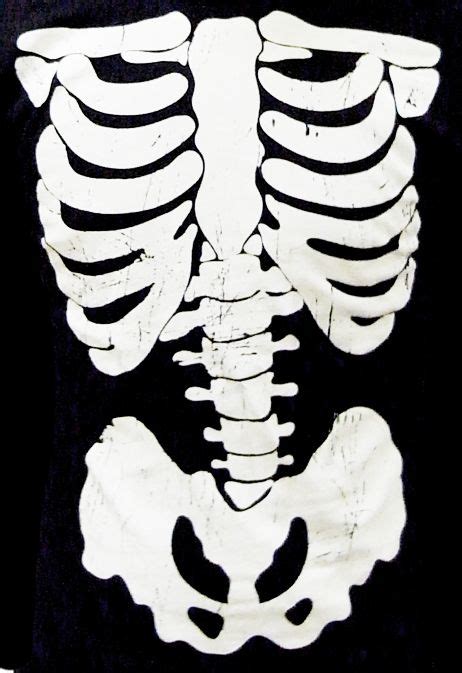 Human Skeleton Stencil Life Size Human Skeleton Template Hw My Xxx Hot Girl