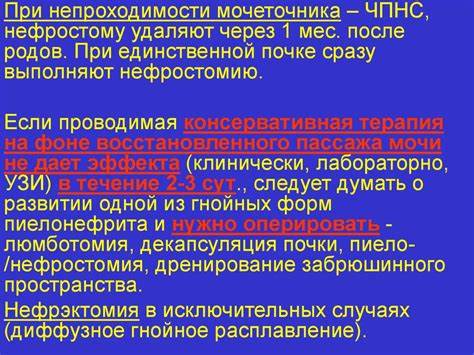 Пиелонефрит беременных диета Пиелонефрит беременных - презентация онлайн Пиелонефрит беременных - презентация онлайн Пиелонефрит беременных диета