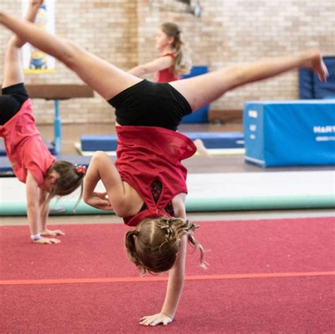 Mini Stars Gymnastics Sydney Nsw