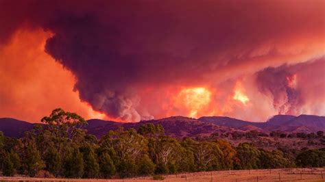 Australia Fires Canberra Escapes Worst As Fires Rage On Bbc News