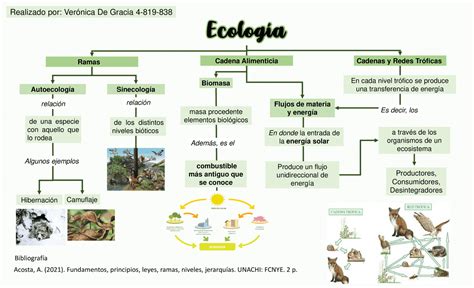 Mapa De Ecología Esquemas Y Mapas Conceptuales De Ecología Docsity