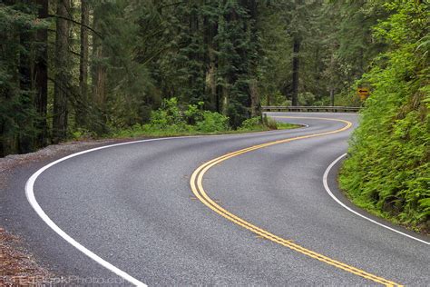 Redwood Highway Northern California S Curve Edbookphoto