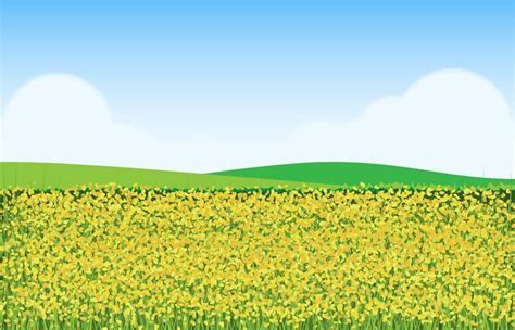 Mustard Flowers In Field Illustration 170562 Vector Art At Vecteezy