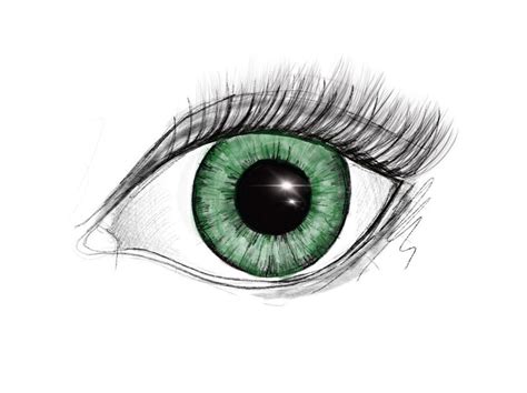Das Verrät Deine Augenfarbe über Deine Persönlichkeit Augen Farbe