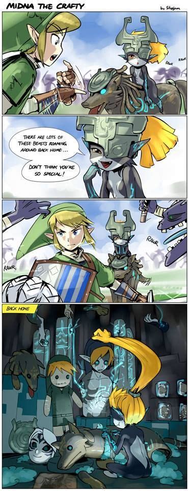 Legend Of Zelda Legend Of Zelda Memes Zelda Twilight Princess