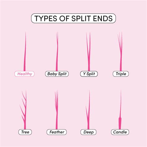 What Do Split Ends Look Like