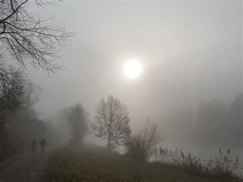 Nebel November Der Nebelfreund Meteo Srf