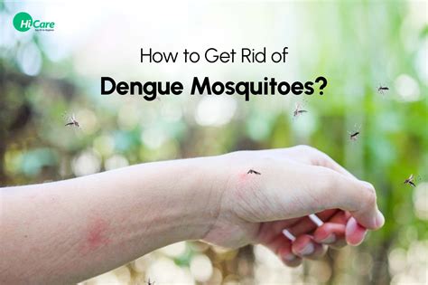 14 Best Tips To Get Rid Of Dengue Mosquitoes At Home Hicare