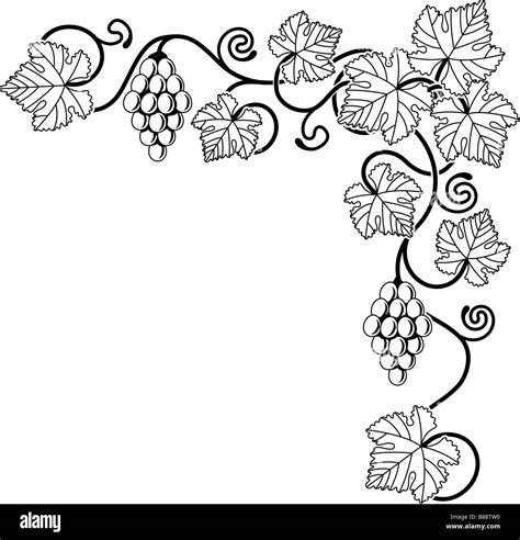 Grapevine Pattern Clipart