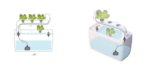 List of 124 nft definitions. 9 Different Types Of Hydroponic Systems How They Work ...