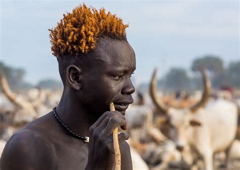 Mundari Tribe Man With Orange Hair Using A Wooden Toothbru Flickr