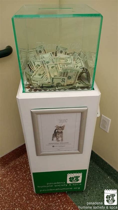 Anonymous Person Drops 8000 In Animal Shelter Donation Box True