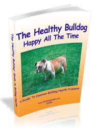 English bulldog care…let's get it right! English Bulldogs Health Problems - English Bulldog Care ...