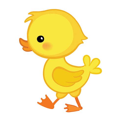 Duckling Clip Art Vector Images And Illustrations Istock