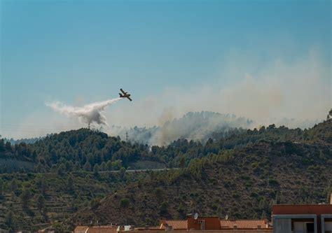 UK's record-breaking July heatwave could be "average summer" by 2035