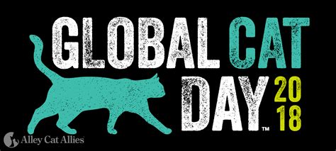 Alley Cat Allies Global Cat Day Is October 16 Alley Cat Allies