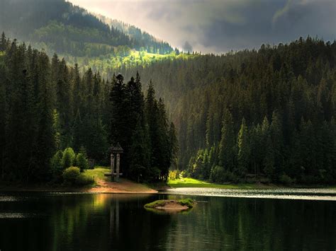 Our wallpapers come in all sizes, shapes, and colors, and they're all free to download. 50+ Best Nature Wallpapers Ever on WallpaperSafari