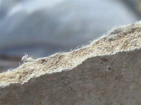 cement board - Is this Asbestos? - Home Improvement Stack Exchange