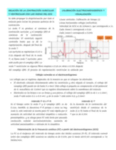 Solution Electrocardiograma Y Sus Fundamentos Studypool