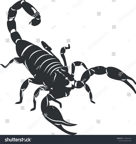 Scorpion Silhouette Vector Illustration Isolated On Stock Vector