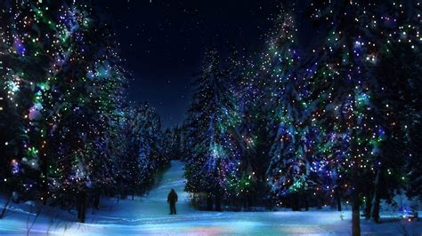 Лес елки зима новый год украшения подсветка обои для рабочего