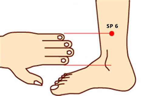 SP Acupuncture Point Sanyinjiao Location Benefit Perfect Magazine