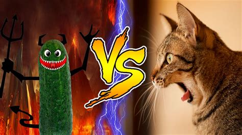 Cats Scared Of Cucumbers Compilation Part 2 Cats Vs