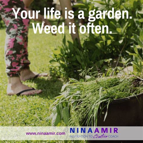 What to do if you get pulled over with weed in the car. What Weeds Need Pulling in the Garden of Your Life? - Nina ...