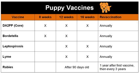 By eb · published january 27. CANINE VACCINES | Veterinarian in Vancouver, BC | Hemlock ...